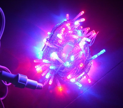 LED low voltage red blue string light