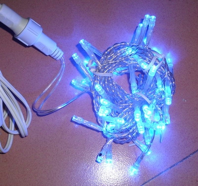 50 LED String Light