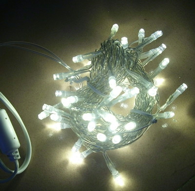 50 LED warm white String Light